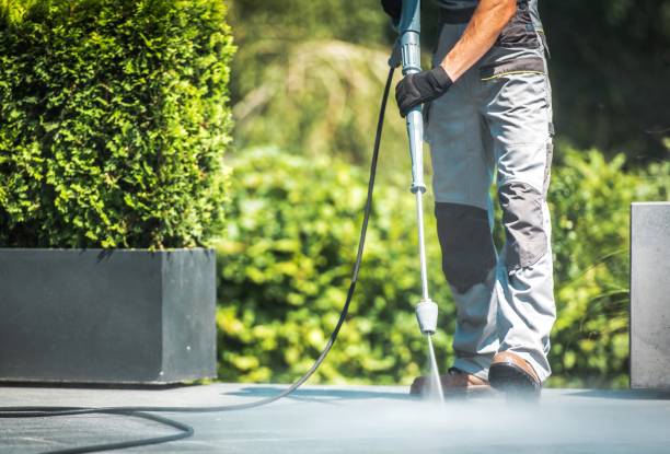 Best Pre-Holiday Cleaning  in Lockhart, TX