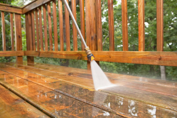 Best Animal Enclosure Cleaning  in Lockhart, TX